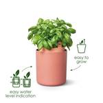 bouncy basil linen white